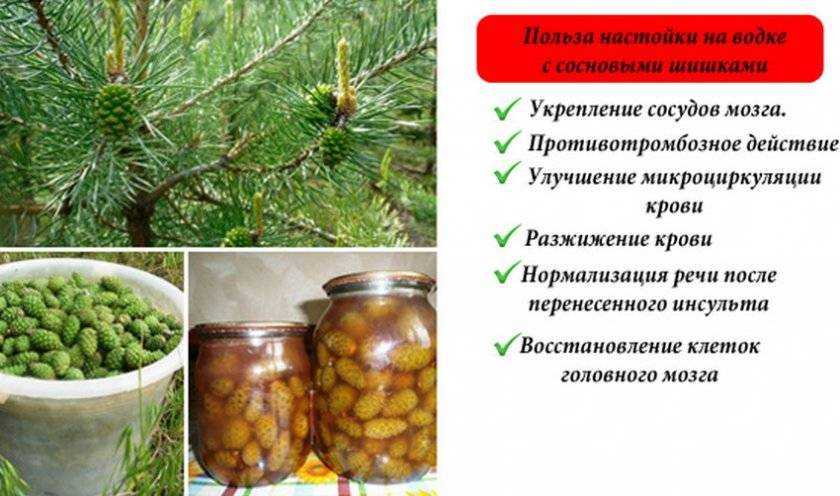 Прозрачное варенье из райских яблок с хвостиками