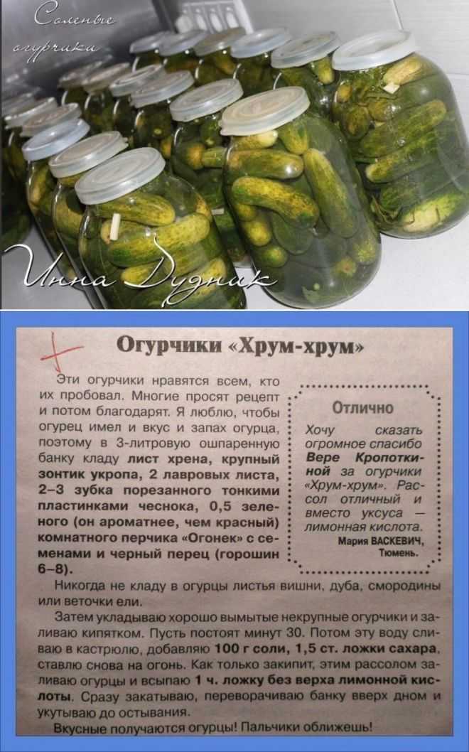 Огурцы в соке красной смородины. консервирование и лучшие кулинарные рецепты опытных садоводов и огородников