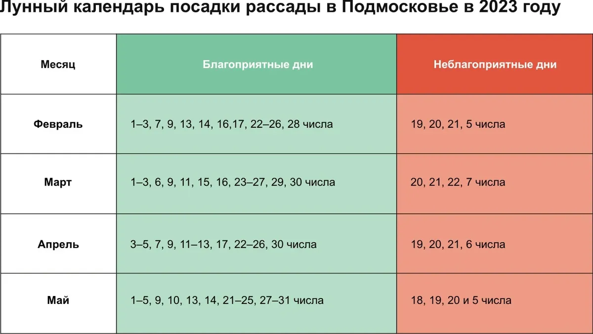 Посадка баклажанов в 2023 году: сроки посева, благоприятные дни
