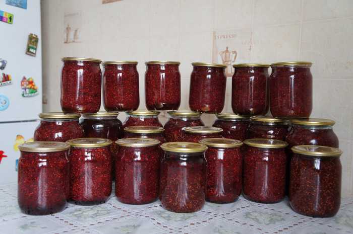 Варнье из мяты – 5 пошаговых рецептов ароматного и полезного варенья