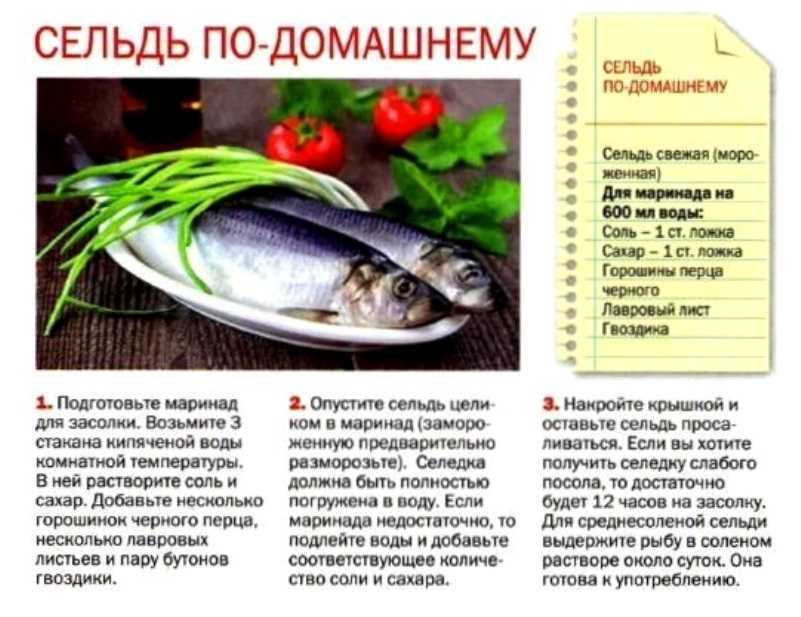 Самые вкусные рецепты засолки селедки дома: топ-10