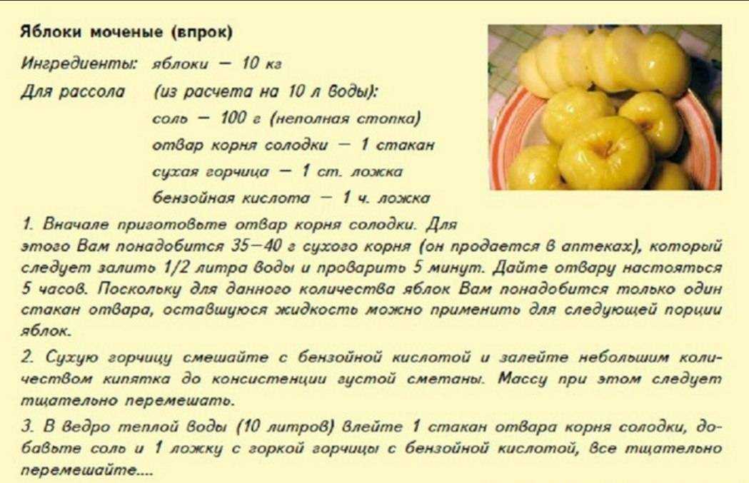 Моченые сливы на зиму: рецепты пошагового приготовления, условия хранения