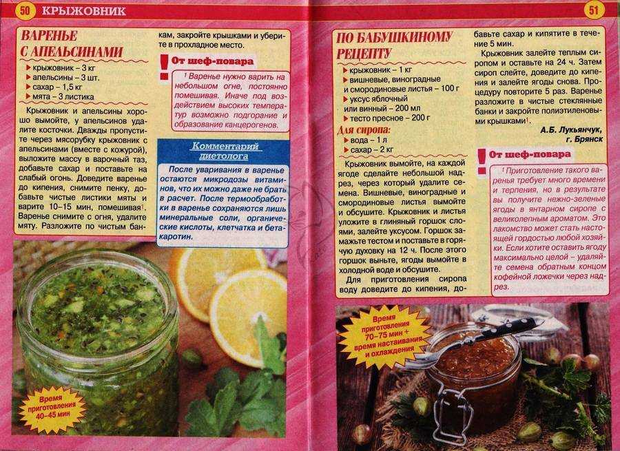 Крыжовник, протертый с сахаром, на зиму без варки: 5 рецептов, советы