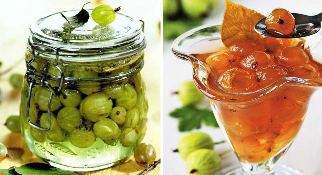 Варенье из крыжовника на зиму - 11 самых вкусных и простых рецептов