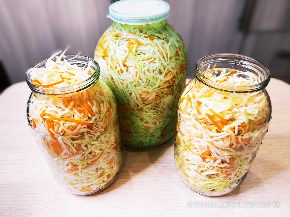 Капуста со свеклой на зиму: самые вкусные и простые рецепты приготовления