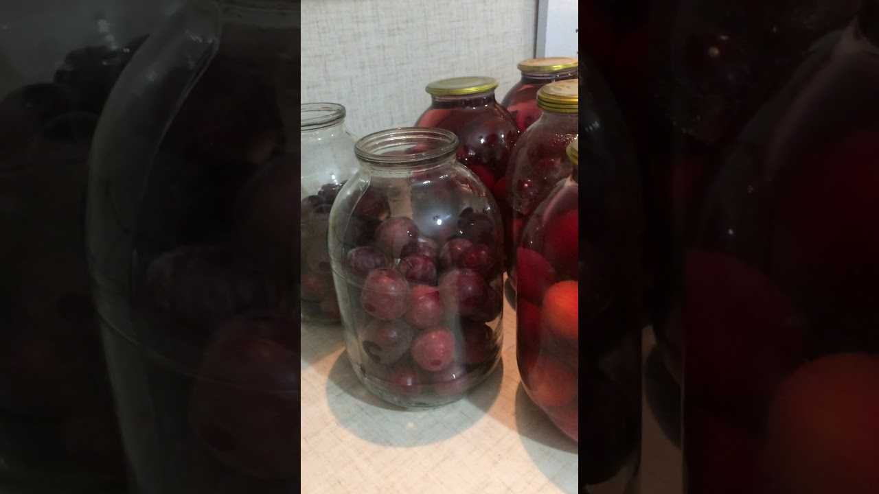 Компот из слив на зиму: рецепты с косточками и без, со стерилизацией и без (+отзывы)