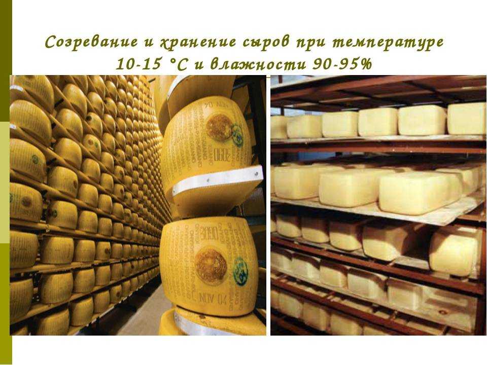 Как правильно хранить разные сорта сыра в холодильнике, чтобы не плесневел