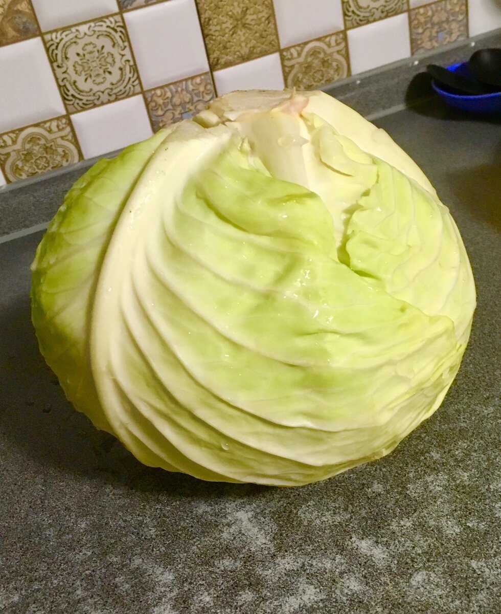 Соленая капуста - очень вкусные рецепты быстрого приготовления