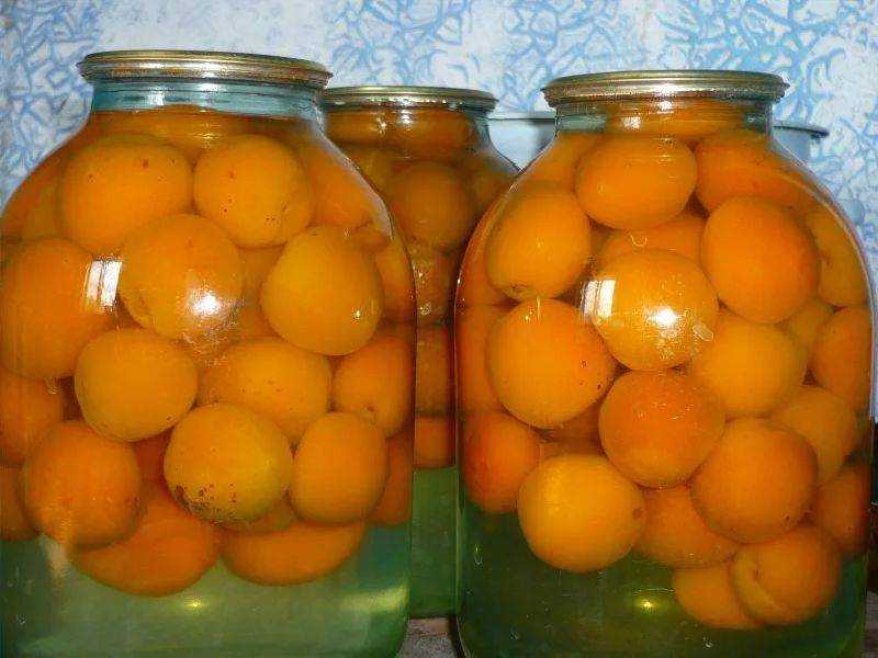 Рецепты компота из абрикосов на зиму: с косточками и без