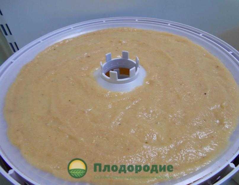 Сушеная тыква: советы по приготовлению, естественное высушивание,рецепты