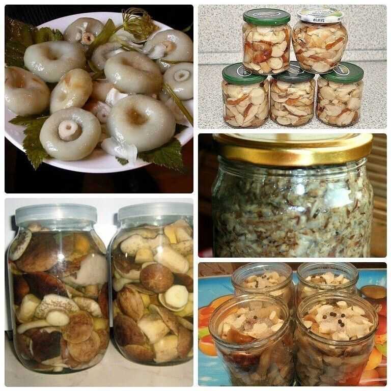 Как безопасно, правильно и вкусно солить грибы свинушки + видео