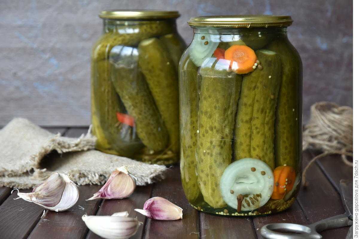 Маринованные хрустящие огурцы: 14 самых вкусных рецептов на зиму