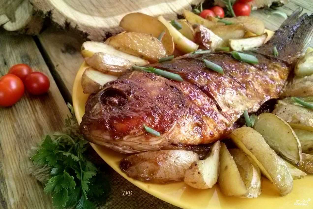 Сазан, запеченный в духовке: рецепты приготовления с фото