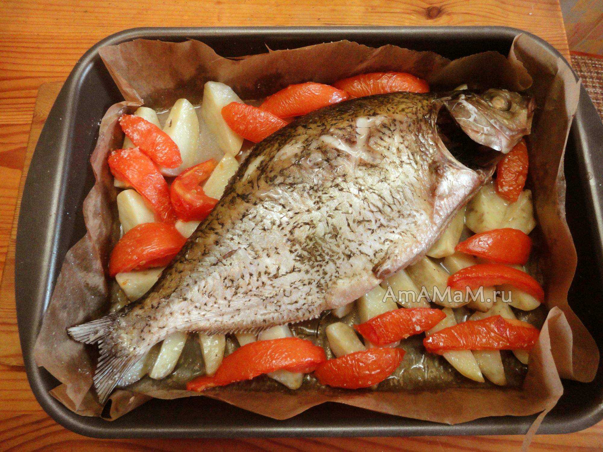 Рецепты вкусной речной рыбы. Рыба в духовке. Рыба запеченная в духовке. Запеченный лещ. Противень для рыбы.