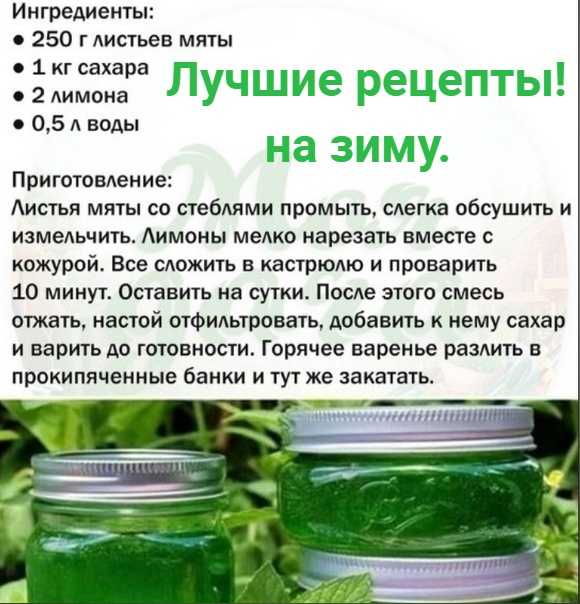 Как заморозить огурцы на зиму: 7 способов с рецептами
