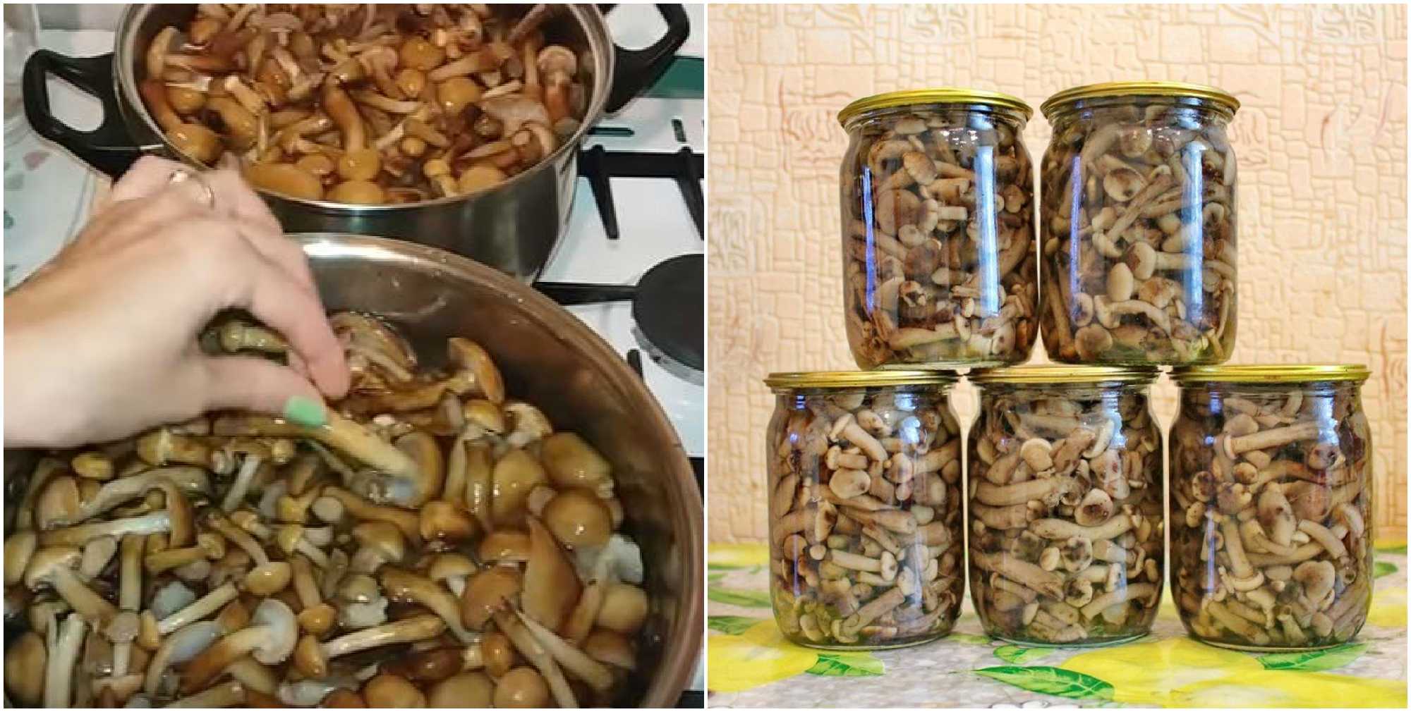 Замороженные опята на зиму