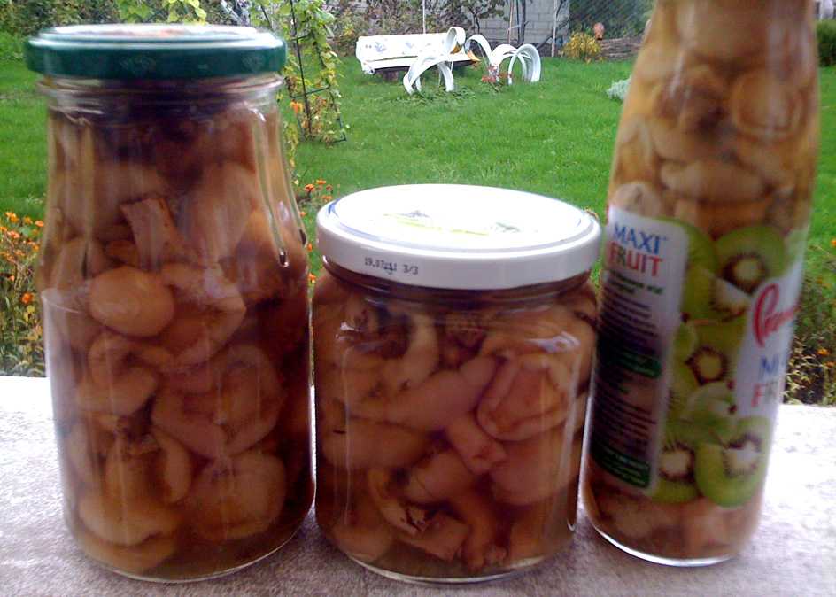 Маринованные и солёные маслята — рецепты приготовления на зиму