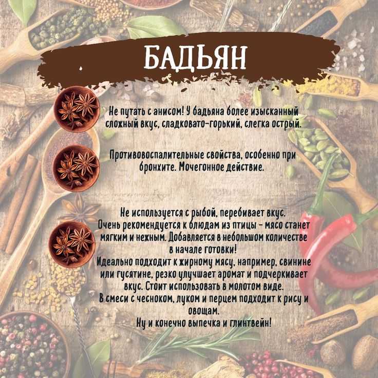 Бадьян: что это такое, полезные свойства, применение, рецепты