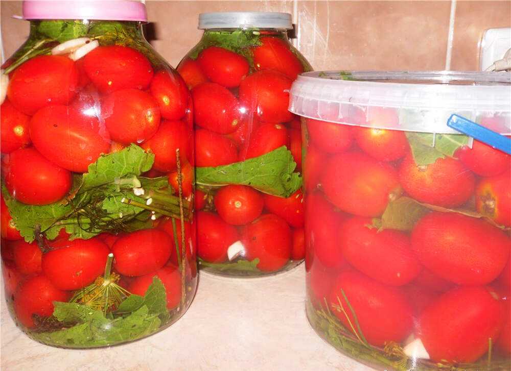 Соленые помидоры на зиму в банках — очень вкусные рецепты
