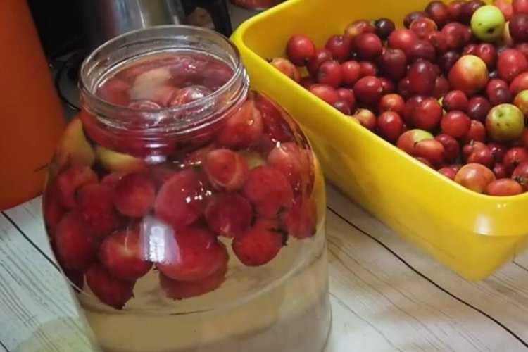 Компот из ранеток ? - самые вкусные рецепты на зиму