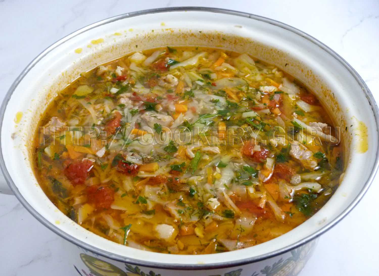 Как приготовить щи из свежей капусты: рецепт варки вкусных щей с мясом