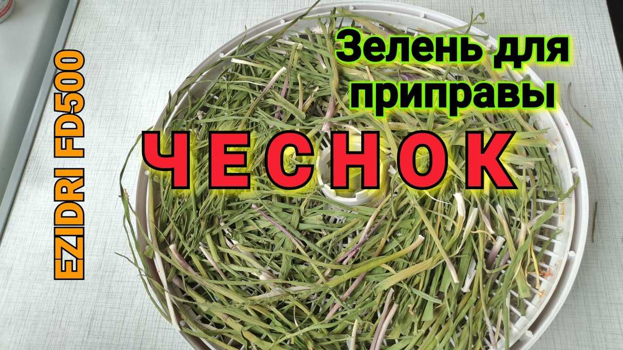 Полезные рекомендации, как сохранить очищенный чеснок в домашних условиях на зиму