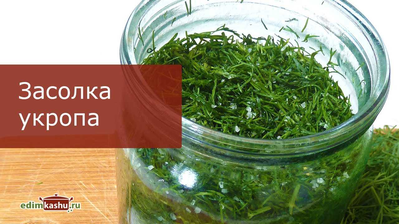 Как сушить петрушку в домашних условиях, чтобы сохранить полезные свойства