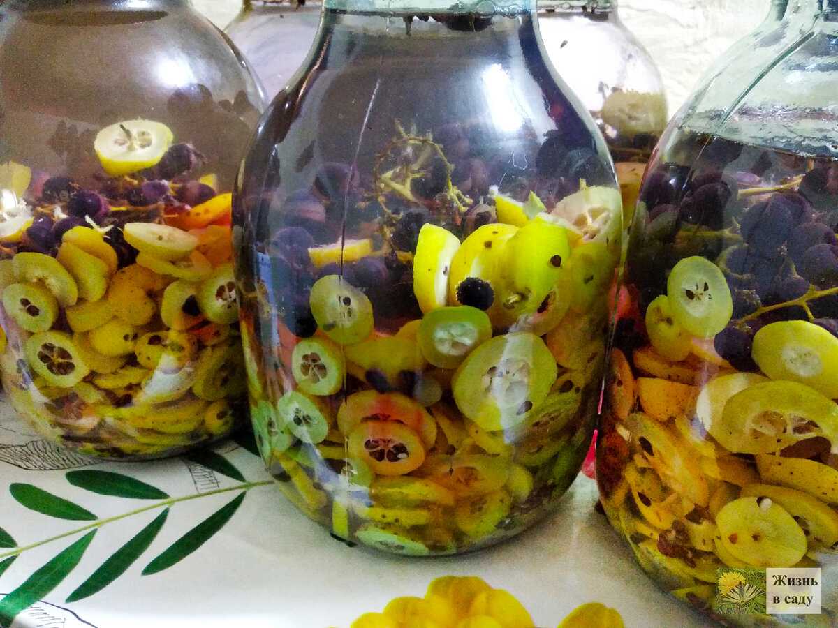 Компот из айвы на зиму пошаговый рецепт с фото
