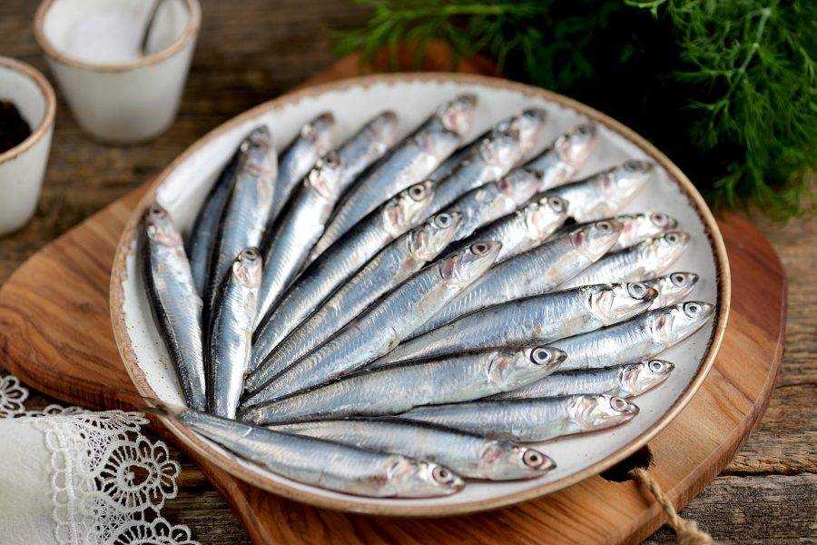 Соление хамсы в домашних условиях рецепт. малосольная хамса — два вкусных рецепта домашнего посола