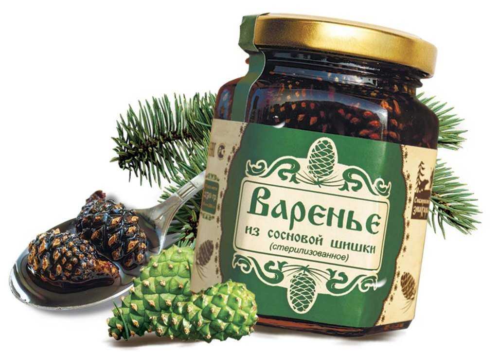 Варенье из сосновых шишек – лучшие рецепты, польза, возможный вред, как нужно принимать