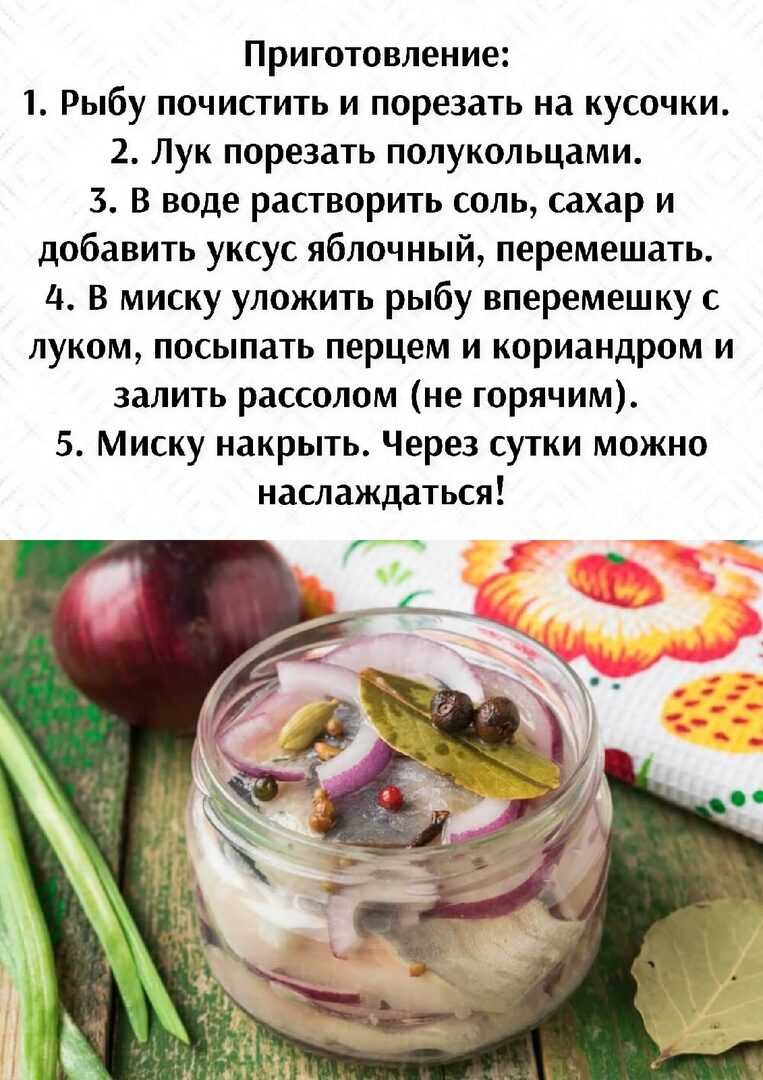 Селедка маринованная в уксусе. Селедка в яблочном уксусе. Селедка с яблочным уксусом и луком. Селёдка с уксусом и луком.