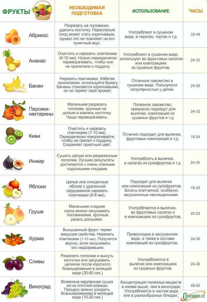 Как правильно сушить укроп в домашних условиях и где его хранить
