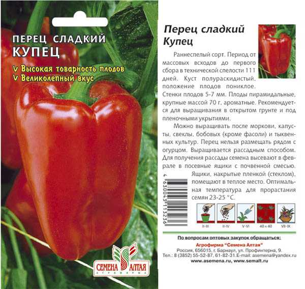 Лучшие сорта перцев для северо-запада: для теплиц из поликарбоната, отзывы, фото