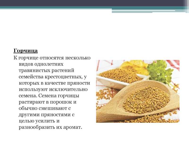 К какому семейству относится горчица. Семейство крестоцветные растение горчица. Горчица для презентации. Семена горчицы. Растение горчица презентация.