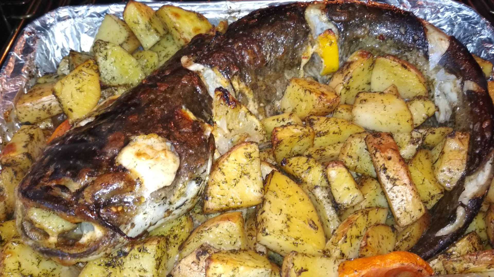 Сазан в духовке: вкусные рецепты приготовления, целиком и кусочками