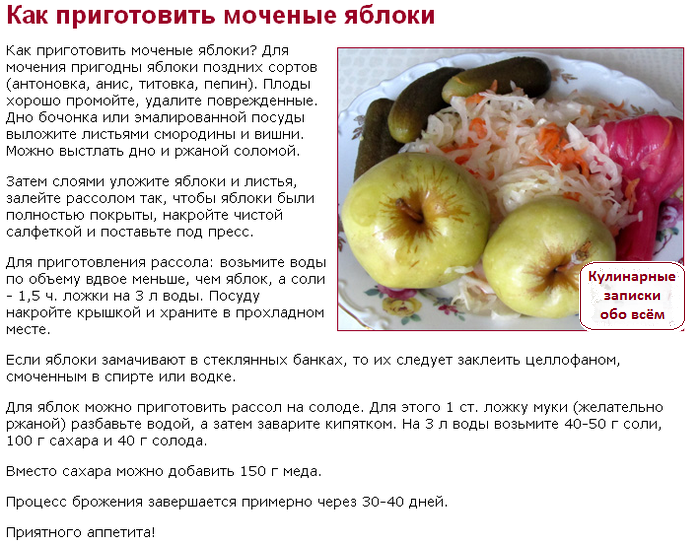 Яблоки моченые на зиму в домашних условиях – 6 рецептов приготовления моченых яблок