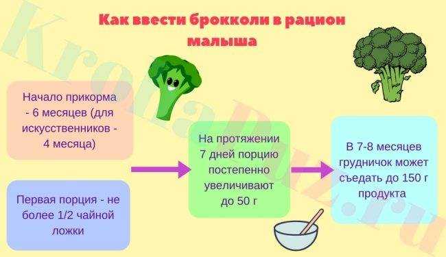 Топ-5 рецептов крем-супа из брокколи, как приготовить