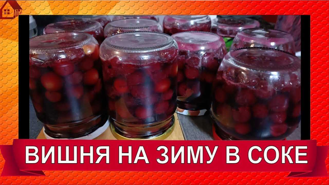20 простых рецептов вишни в собственном соку
