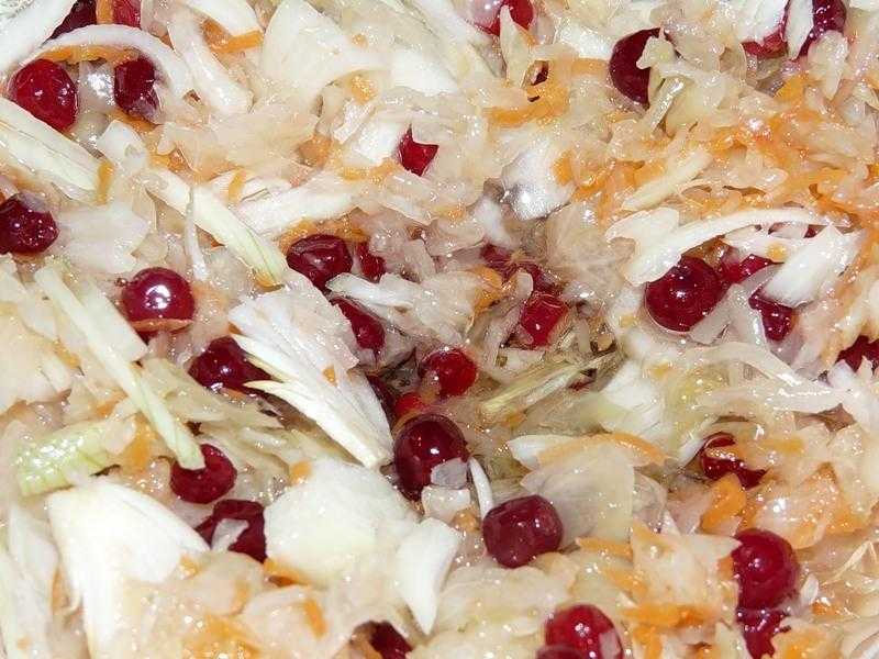 Капуста со свеклой на зиму — 9 очень вкусных рецептов в банках
