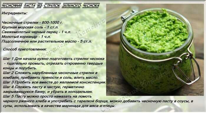 Рецепт чесночных стрелок по-корейски - 7 пошаговых фото в рецепте