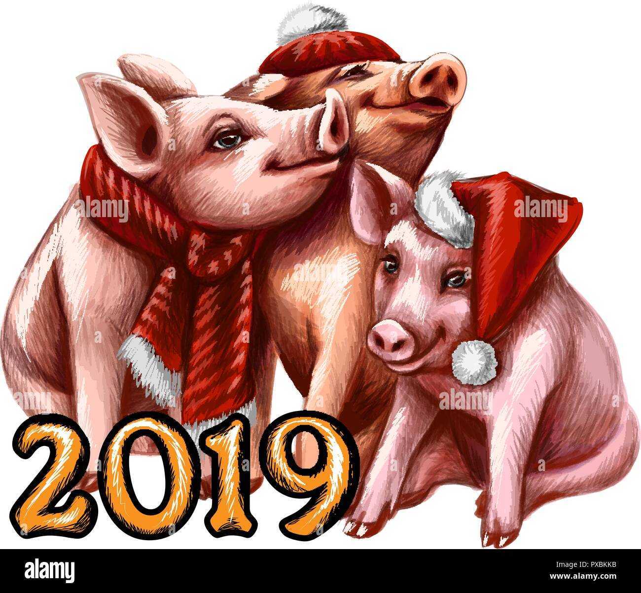 В чем встречать новый 2019 год свиньи: для каждого знака зодиака