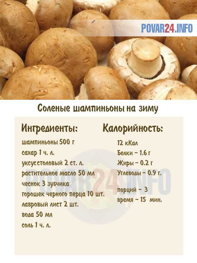 Белые грибы на зиму: топ-6 лучших рецептов, пошаговое приготовление