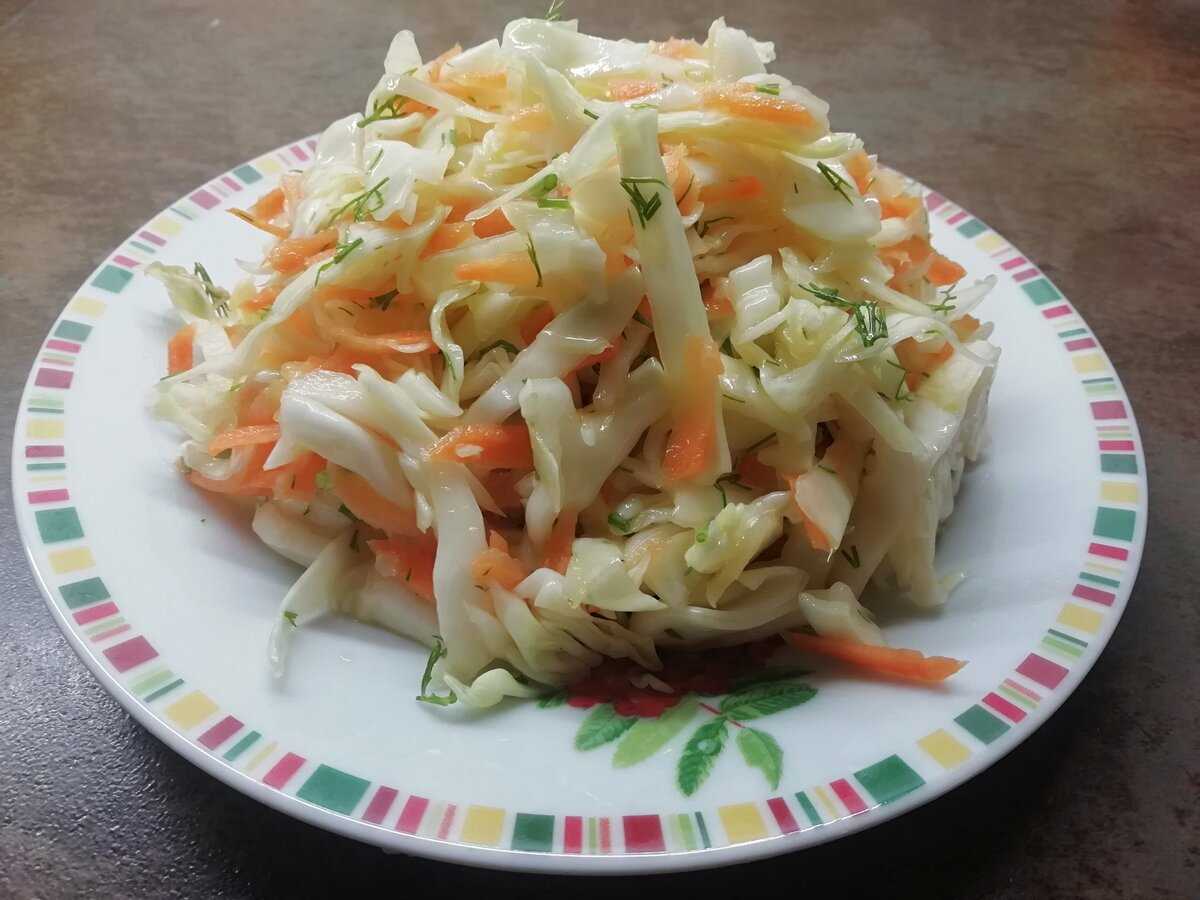 Салат из капусты и моркови с уксусом – витаминно! рецепты салатов из капусты и моркови с уксусом: свежие и на зиму