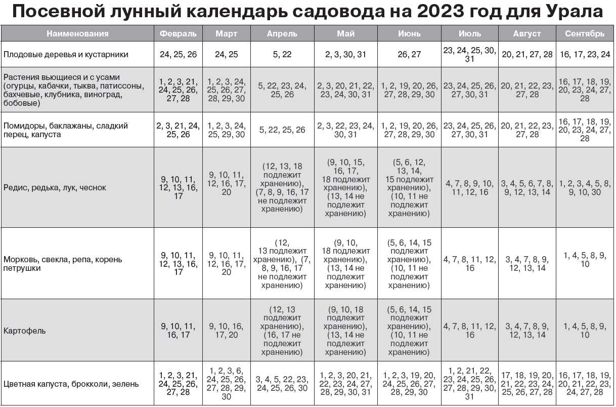 Лунный посевной календарь на 2019 год садовода и огородника подскажет наиболее благоприятные дни