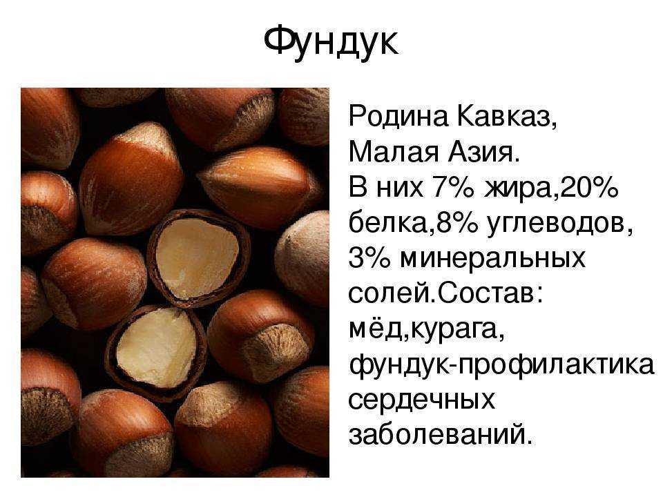 ✅ как сушить фундук в духовке. сушить в духовке фундук - живой-сад.рф