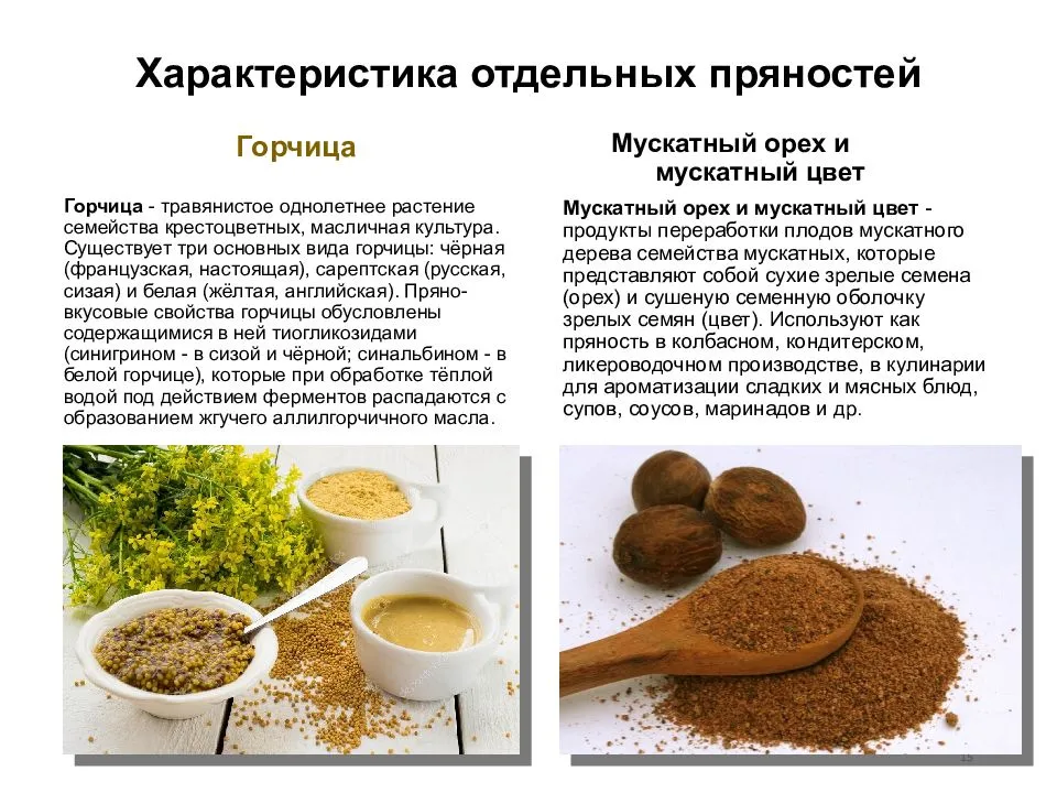 Что такое зерновая горчица – с чем ее едят, как используют в кулинарии, как готовят домашний соус на ее основе