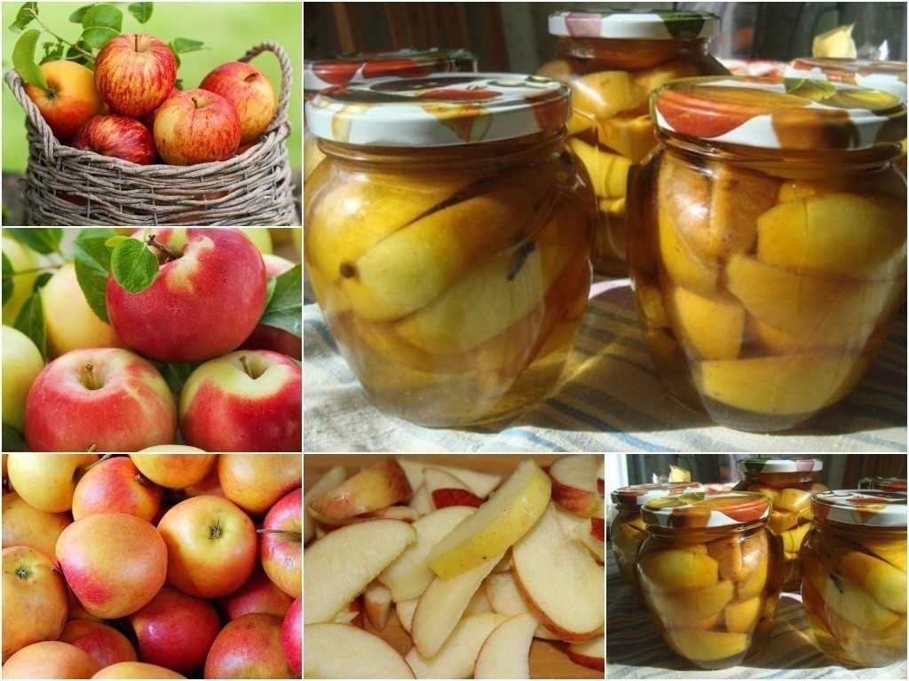 Огурцы маринованные с яблочным уксусом: как приготовить, сколько уксуса добавлять в маринад, как хранить заготовки, рецепты без стерилизации