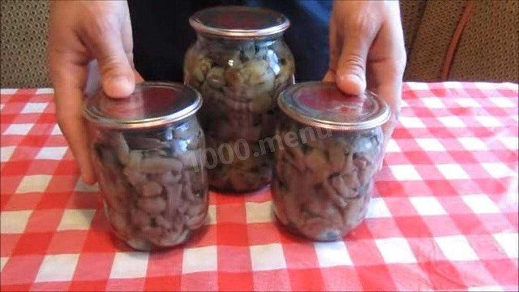 Грибы рядовки:фото и описание, как готовить на зиму