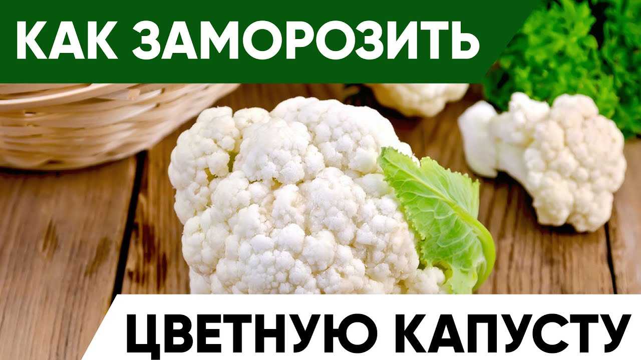 Как правильно замораживать в морозилке цветную капусту на зиму; заморозка в домашних условиях