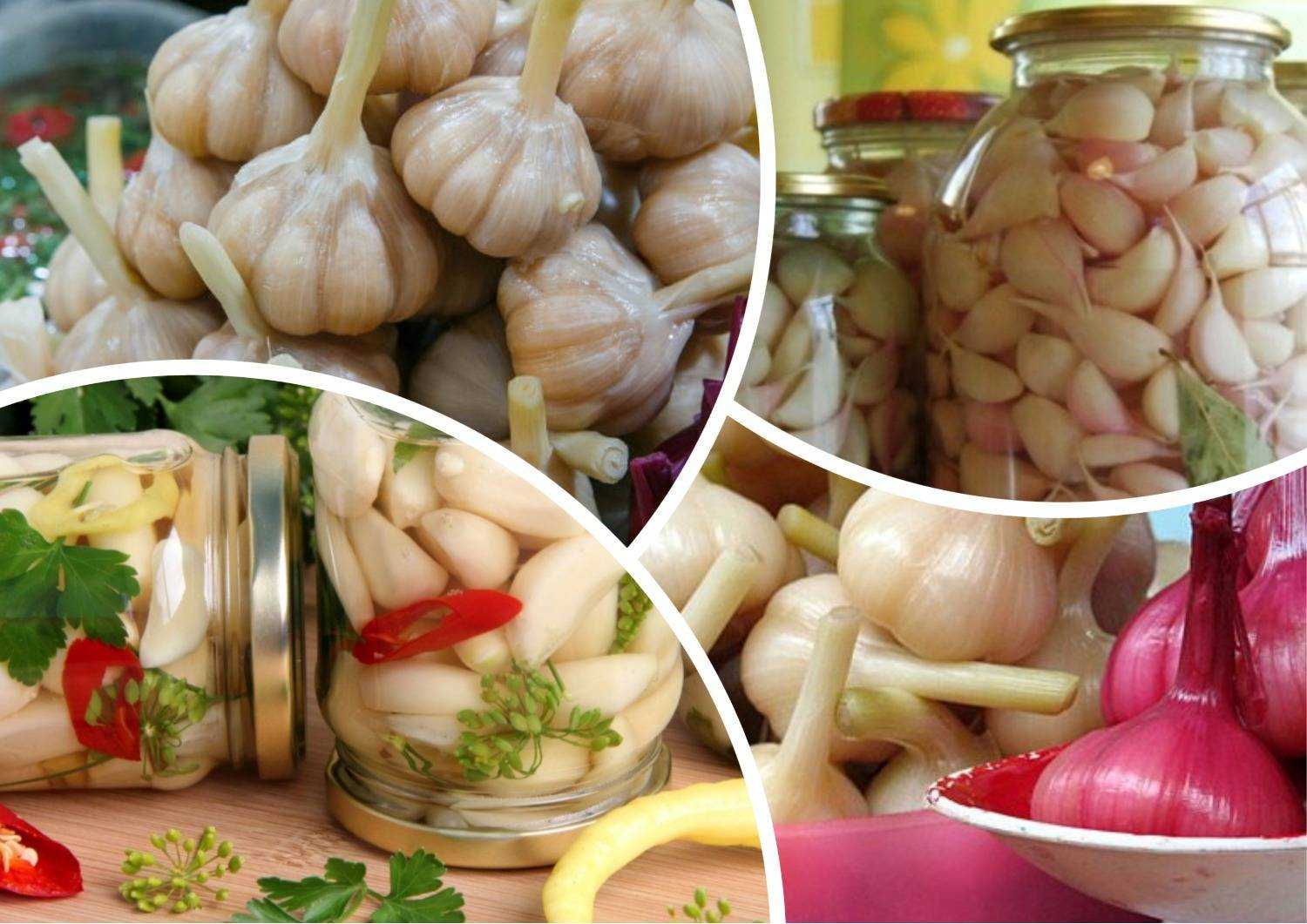 Соленый чеснок головками, как на рынке: рецепты засолки, как вкусно посолить овощ